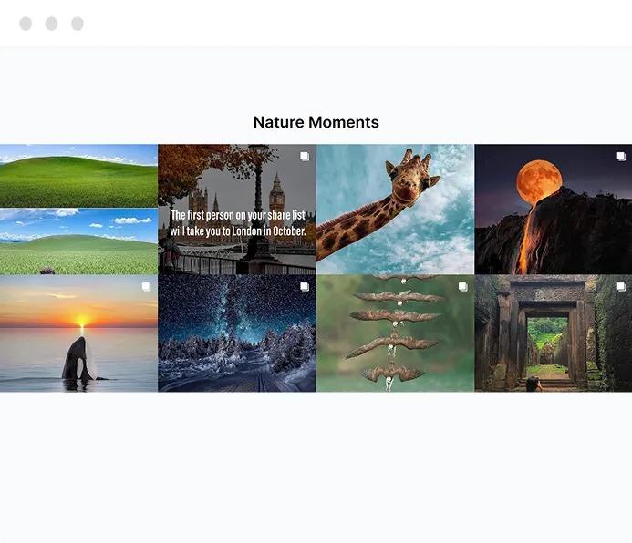 Grid Social Feed  
